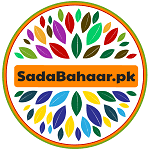 Sadabahaar - Your Ultimate Online Shopping Destination in Pakistan